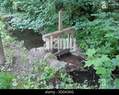 Kleiner Waldbach mit Holzwehren, umgeben von Moos, Bäumen und dichter Vegetation in natürlicher Umgebung. Kopierraum. Stockfoto