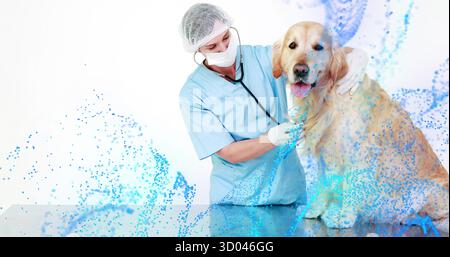 Untersuchungsarzt in Peelings, Stethoskop auf Golden Retriever auf dem Untersuchungstisch mit blauen Partikeln Stockfoto