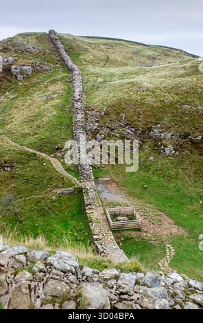 Blick auf die Sycamore Gap entlang der Hadrian's Wall in Northumberland, England, Großbritannien, wo 2023 ein berühmter Baum illegal gefällt wurde. Stockfoto
