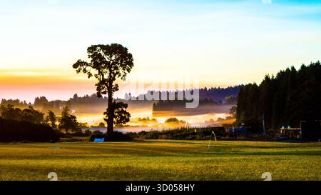 Sonnenaufgang über der Wiese Stockfoto