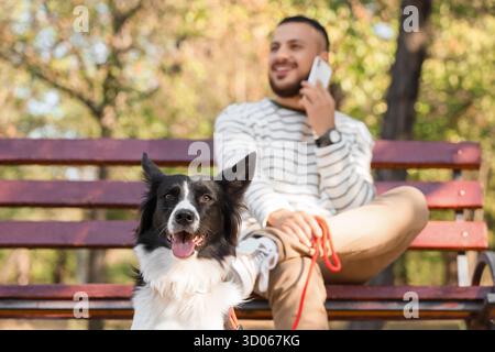 Junger Mann mit Border Collie Hund, der mit Handy auf der Bank im Park spricht, Nahaufnahme Stockfoto
