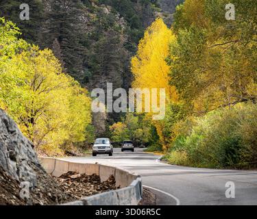 Yellow aspen leaves on mountainside show fall colour and autumn colors in Santa Fe Forest National Park - New Mexico mountain landscpae Stockfoto