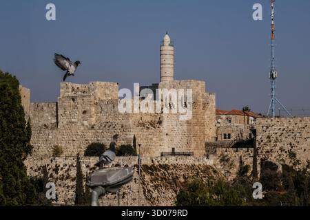 Jerusalem, Israel - 26. Mai 2025: Tauben und Turm der Zitadelle von David, Stadtmauer von Jerusalem. Stockfoto