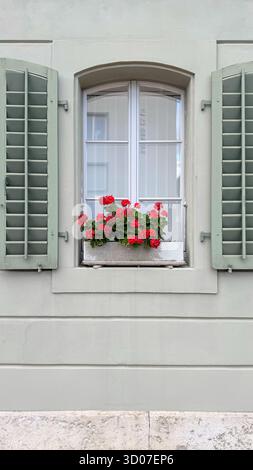 Wunderschönes Fenster mit grünen Holzläden und roten Geranienblumen in einem Blumenkasten an einer alten Hausfassade. Traditionelle europäische Architektur Stockfoto