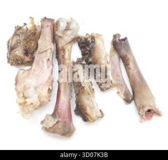 Hühnerknochen isoliert auf weißem Hintergrund Stockfoto
