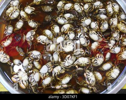 Nahaufnahme von Crubs im Markt Stockfoto