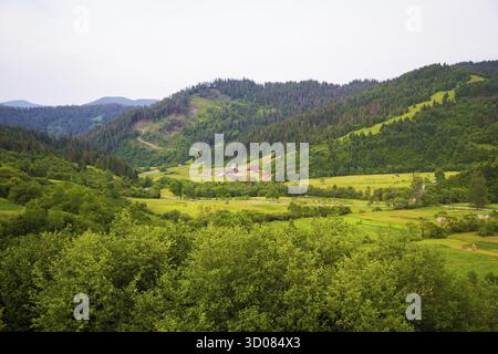 Wunderschöne Sommerlandschaft in den Karpaten. Ukraine Stockfoto