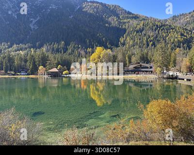 Ruhiger See mit bunten Herbstblättern und Bergen im Hintergrund, Toblacher See, Toblacher See, Südtirol, Italien Stockfoto