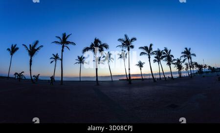 Dawn Beach Ozean Palmen Silhouetten auf der Promenade mit Horizont Sonnenaufgang eine malerische Landschaft. Stockfoto