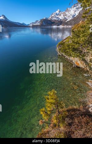 Silsersee oder Silsersee im Schweizer Engadin an einem perfekten Wintertag mit blauem Wasser und schneebedeckten Bergen. Stockfoto