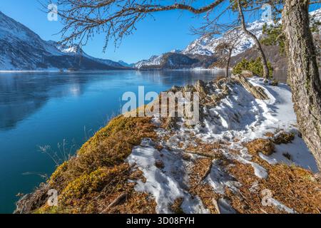 Der Baumzweig bietet einen perfekten Blick auf den Winter von einem kap oder Felsvorsprung im Silsersee oder im Schweizerischen Engadin. Stockfoto
