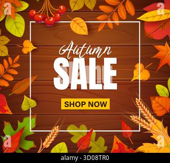 Herbstbanner mit Holzbrett, Herbstlaub und Beeren. Vektor-Werbegutschein mit bunten Herbstblättern, Beeren, Weizenohren und Shop Now Button. Saisonale Werbebotschaft Stock Vektor