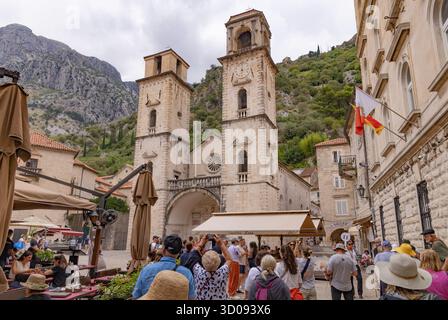 Kotor Montenegro; Kotor Altstadt, eine ummauerte mittelalterliche Stadt und St. Tryphon Kathedrale; Kotor, Montenegor Europa. UNESCO-Weltkulturerbe. Stockfoto