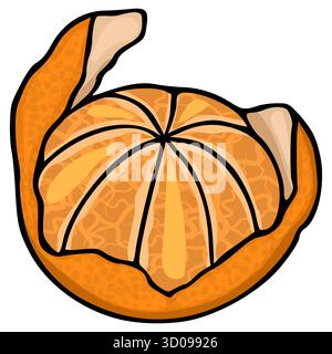 Stilisierte geschälte Mandarine Vektor-Illustration mit detaillierten Segmenten und strukturierter Schale. Stock Vektor