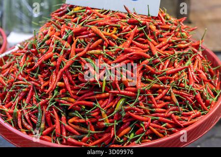 Aus nächster Nähe sehen Sie frische rote und grüne Chili-Paprika, die sich in ihren leuchtenden Farben stapeln. Stockfoto