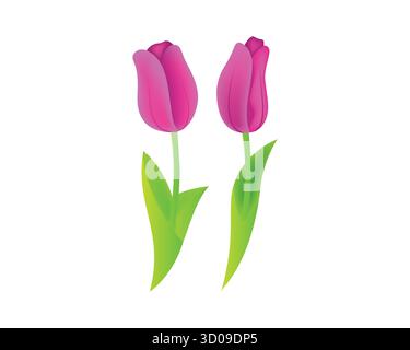 Illustration eines Tulpenpaares Stock Vektor