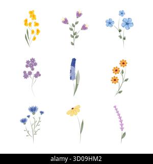 Neun einzelne Aquarellblumendarstellungen, jeweils eine andere Art und Farbe, sind ordentlich auf weißem Hintergrund angeordnet. Blumenelemente werden isoliert und präsentiert. Stock Vektor