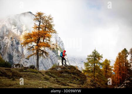Touristenfrau, Wanderer auf einem Wanderweg in den julischen alpen in slowenien, malerische Herbstwanderung zum adam Gipfel über dem Bohinj See, Herbstfarben, Laub Stockfoto