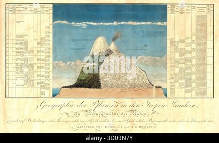 Ideen zu einer Geographie der Pflanzen nebst einem Naturgemälde der Tropenländer, Buch von Alexander Humboldt, 1807, historisch, digital restauriert Stockfoto