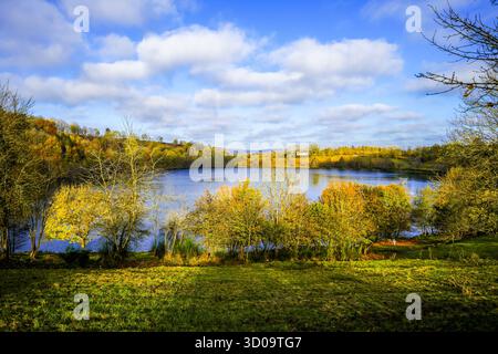 Blick auf das Weinfelder Maar und die umliegende Landschaft. Natur in der Eifel im Herbst. Totenmaar bei Daun. Stockfoto