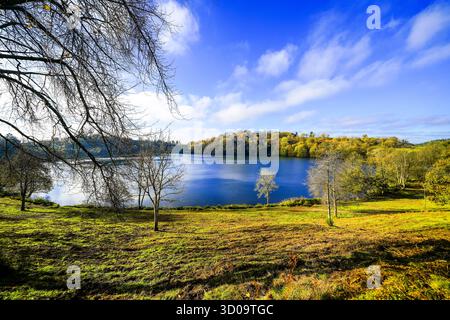 Blick auf das Weinfelder Maar und die umliegende Landschaft. Natur in der Eifel im Herbst. Totenmaar bei Daun. Stockfoto