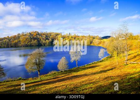 Blick auf das Weinfelder Maar und die umliegende Landschaft. Natur in der Eifel im Herbst. Totenmaar bei Daun. Stockfoto