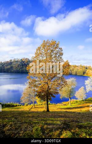 Blick auf das Weinfelder Maar und die umliegende Landschaft. Natur in der Eifel im Herbst. Totenmaar bei Daun. Stockfoto
