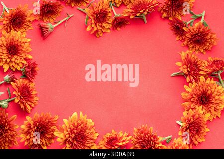 Rost orange Chrysanthemen Blumen als Rahmen auf rotem Hintergrund angeordnet. Draufsicht. Stockfoto