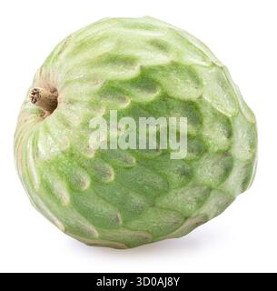 Pudding-Apfel oder Cherimoya-Frucht isoliert auf weißem Hintergrund. Beschneidungspfad Stockfoto