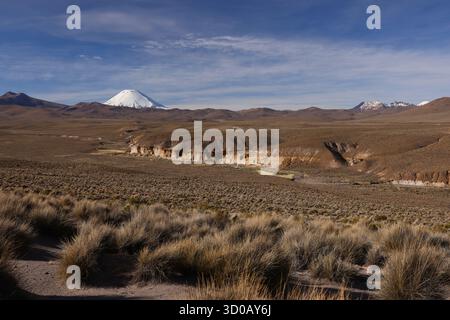 Naturschutzgebiet Las vicunas, Panoramablick auf den Vulkan Parinacota, Chile Stockfoto