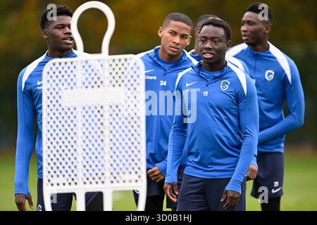 Genk, Belgien. Oktober 2025. Genks Yaimar Medina wurde während eines Trainings der belgischen Fußballmannschaft KRC Genk am Mittwoch, den 22. Oktober 2025, in Genk gezeigt. Das Team bereitet sich auf das morgige Spiel gegen den spanischen Real Betis Balompie vor, das dritte Spiel (von 8) in der Liga-Phase der UEFA Europa League. BELGA FOTO JOHAN EYCKENS Credit: Belga News Agency/Alamy Live News Stockfoto