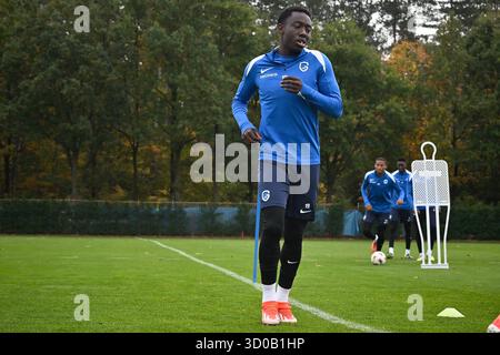 Genk, Belgien. Oktober 2025. Genks Yaimar Medina wurde während eines Trainings der belgischen Fußballmannschaft KRC Genk am Mittwoch, den 22. Oktober 2025, in Genk gezeigt. Das Team bereitet sich auf das morgige Spiel gegen den spanischen Real Betis Balompie vor, das dritte Spiel (von 8) in der Liga-Phase der UEFA Europa League. BELGA FOTO JOHAN EYCKENS Credit: Belga News Agency/Alamy Live News Stockfoto