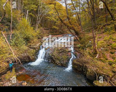 Im Herbst in Wales fließt der Wasserfall durch einen üppigen, moosigen Wald Stockfoto