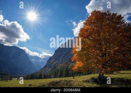Die Sonne scheint vom Himmel auf den Ahornboden, Ein Hochplateau im Rist-Tal. Eine einzelne Buche (Fagus Sylvatica) am Bildrand mit Hell Stockfoto