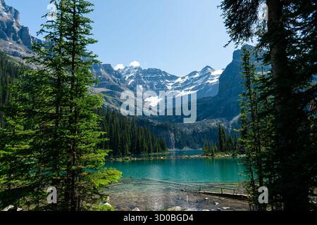 Atemberaubender Alpensee, umgeben von majestätischen Pinien und majestätischen Bergen. Ohara Lake, BC Stockfoto