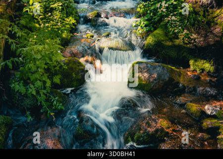 Ein fließender Bach stürzt über moosige Felsen, umgeben von üppiger Vegetation. Ohara Lake, BC Stockfoto