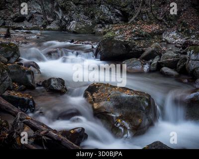Fluss in Gaulsschlucht, Lana, Italien Stockfoto
