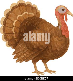 Aquarellvektor-Illustration eines truthahns Stock Vektor