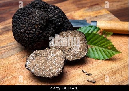 Köstliche Pilze, frische schwarze Sommertrüffelpilze aus Italien für die Zubereitung von Trüffelgerichten mit leckerem Aroma, kulinarisches Restaurant in Frankreich Stockfoto