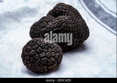 Köstliche Pilze, frische schwarze Sommertrüffelpilze aus Italien für die Zubereitung von Trüffelgerichten mit leckerem Aroma, kulinarisches Restaurant in Frankreich Stockfoto