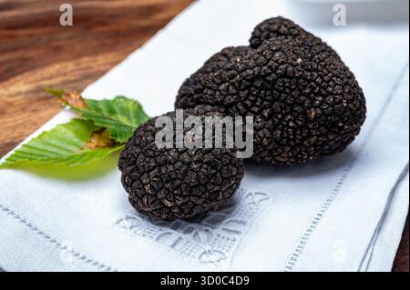 Köstliche Pilze, frische schwarze Sommertrüffelpilze aus Italien für die Zubereitung von Trüffelgerichten mit leckerem Aroma, kulinarisches Restaurant in Frankreich Stockfoto
