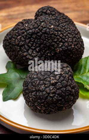 Köstliche Pilze, frische schwarze Sommertrüffelpilze aus Italien für die Zubereitung von Trüffelgerichten mit leckerem Aroma, kulinarisches Restaurant in Frankreich Stockfoto