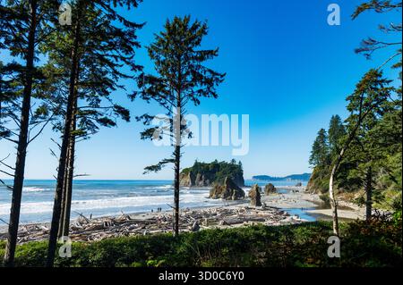 Sea Stacks; Ruby Beach; Olympic National Park; Washington; USA Stockfoto