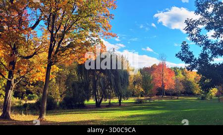 Die extravaganten Herbstfarben der Bäume des Parks an einem schönen sonnigen Tag Stockfoto
