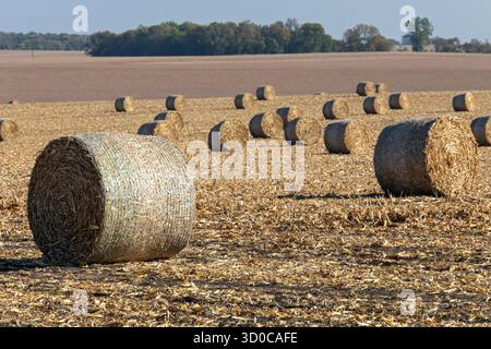 Steen, Minnesota – Runde Heuballen auf einem Feld auf einer Farm im Südwesten von Minnesota. Stockfoto