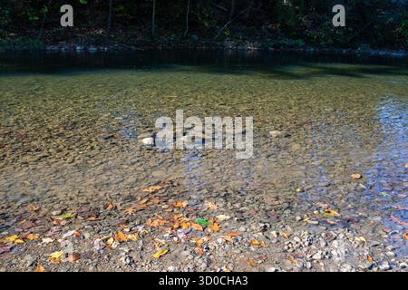 Im Green Hill Park in Salem, Virginia, fließt der Roanoke River durch den Park und ist somit ein beliebter Erholungsort. Stockfoto