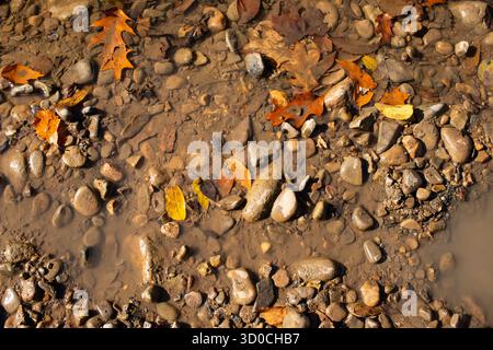 Im Green Hill Park in Salem, Virginia, fließt der Roanoke River durch den Park und ist somit ein beliebter Erholungsort. Stockfoto