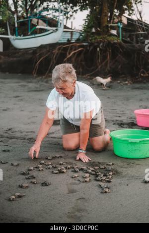 Portrait ältere grauhaarige weibliche Freiwillige, die Baby-Meeresschildkröten am Strand freilässt Stockfoto