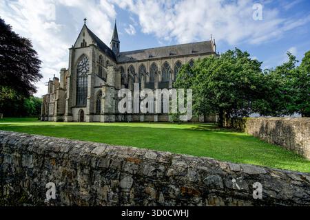 Altenberger Dom von Norden gesehen, Altenberg, Odenthal, NRW, Deutschland Stockfoto