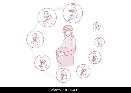 Schwanger Frau berühren Bauch bereit für zukünftige Mutterschaft. Schwangerschaft Embryo Stadien der Entwicklung. Baby Geburt Phasen pro Monat. Fruchtbarkeit, ivf, Mutterschaft Konzept. Vektorgrafik. Stock Vektor